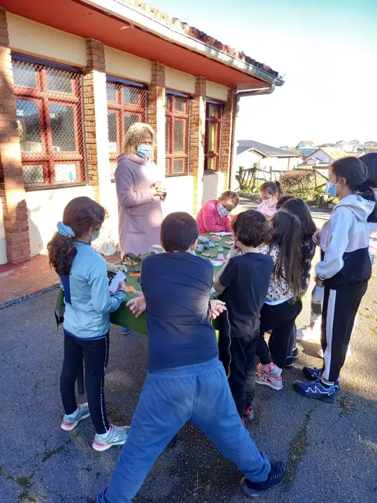 Escuela Medio Ambiente (Archivo)