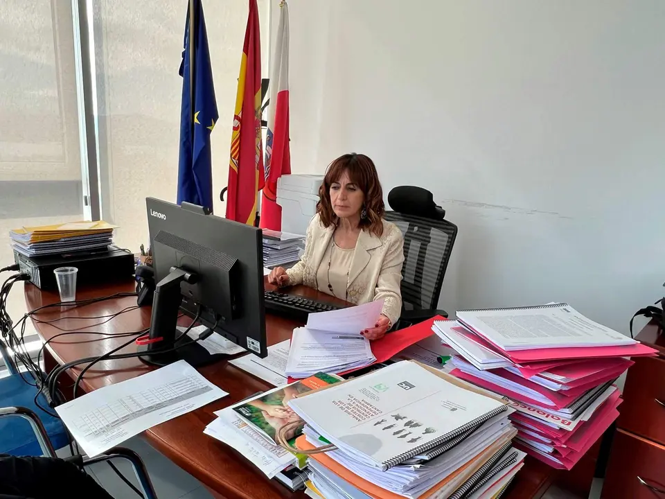 Sede del ICASS
La consejera de Empleo y Políticas Sociales, Ana Belén Álvarez, participa por videoconferencia en el Pleno del Consejo Territorial de Servicios Sociales y del Sistema para la Autonomía y Atención a la Dependencia.
