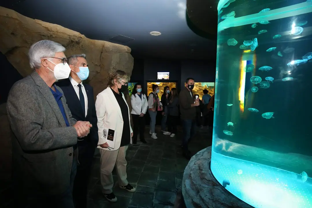 El vicepresidente y consejero de Universidades, Igualdad, Cultura y Deporte, Pablo Zuloaga, inaugura el nuevo medusario.