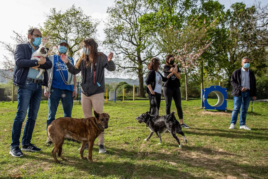 Urraca parque canino Nueva Ciudad