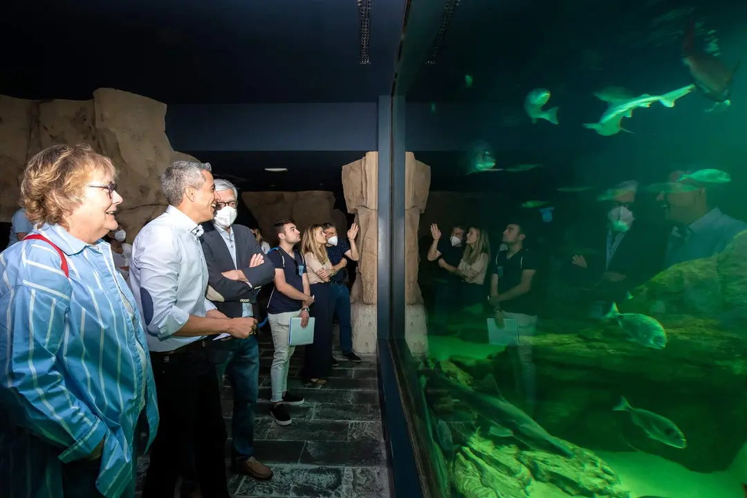 09:15 horas. Museo Marítimo del Cantábrico
El vicepresidente y consejero de Universidades, Igualdad, Cultura y Deporte, Pablo Zuloaga, asiste a la entrega de ejemplares de tiburón gris procedentes del L´Oceanographic de Valencia. 
08 de julio de 2022
Fotografía: Silvia Bouzo