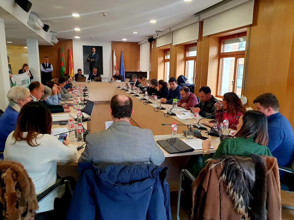 pleno 31 enero 2023