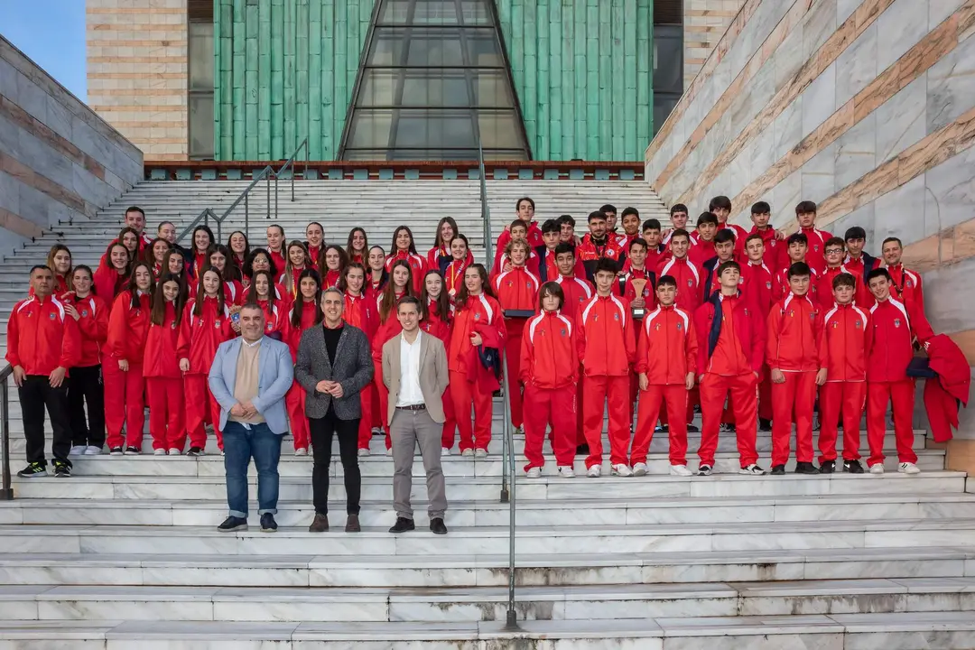 vicepresidente balonmano