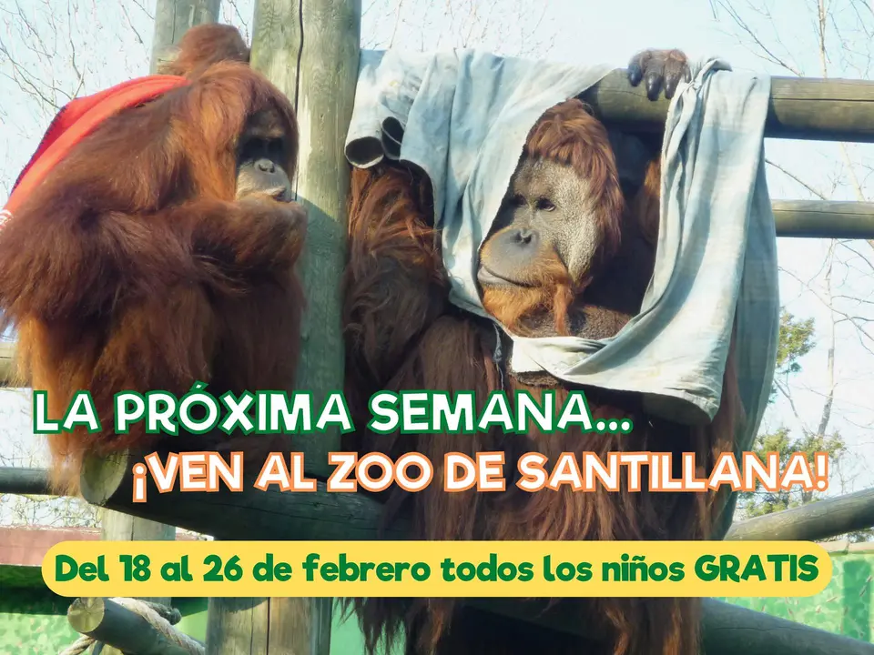 LA PRÓXIMA SEMANA...VEN AL ZOO DE SANTILLANA (1)