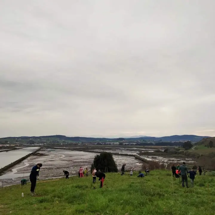 Jornada de plantación en Suances