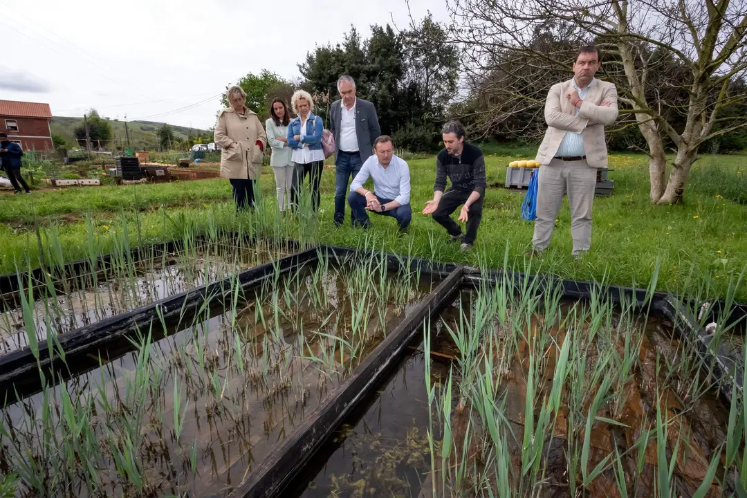 11:00 horas. Bº La Haza, Revilla de Camargo
El consejero de Desarrollo Rural, Ganadería, Pesca, Alimentación y Medio Ambiente, Guillermo Blanco, visita el proyecto de investigación ambiental Plan RIALAB.
