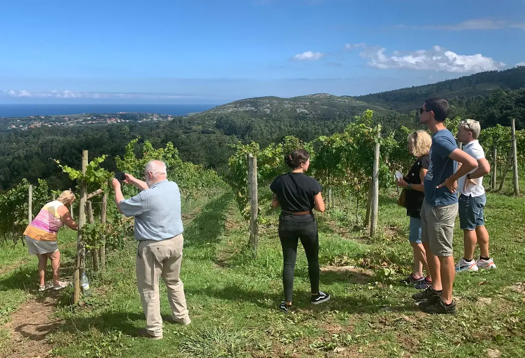 Periodistas irlandeses visitan Cantabria