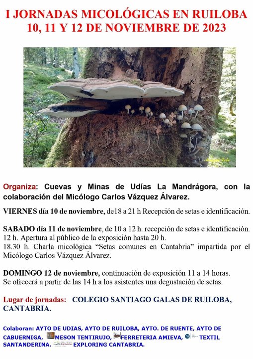 ampliacion I CARTEL I JORNADAS DE SETAS UDIAS_page-0001