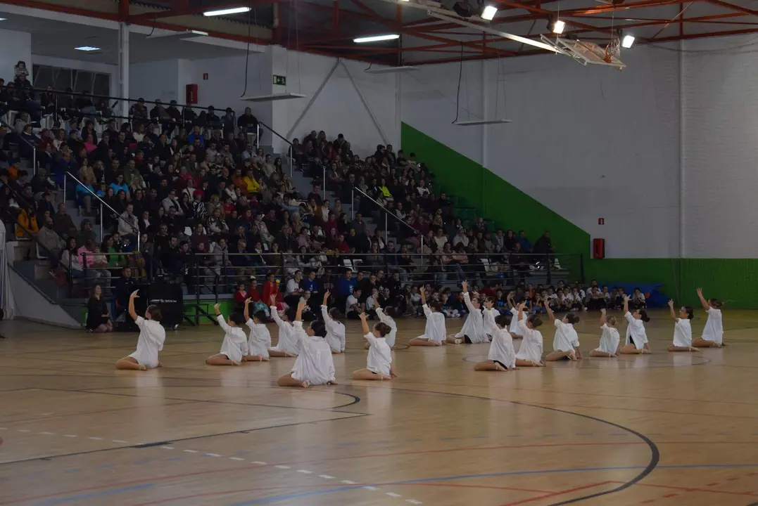 FESTIVAL SOLIDARIO DANZA - RENEDO PIÉLAGOS  (19)