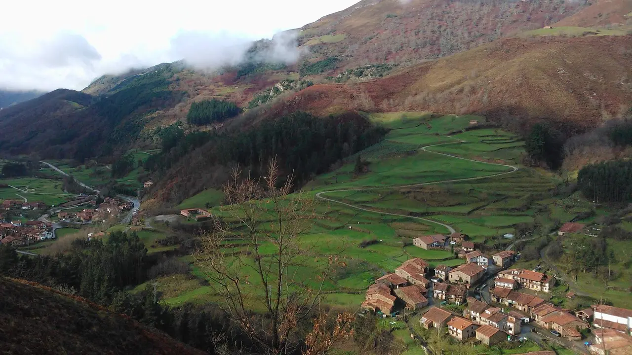 [22419]Mundo rural - Valle de Carmona