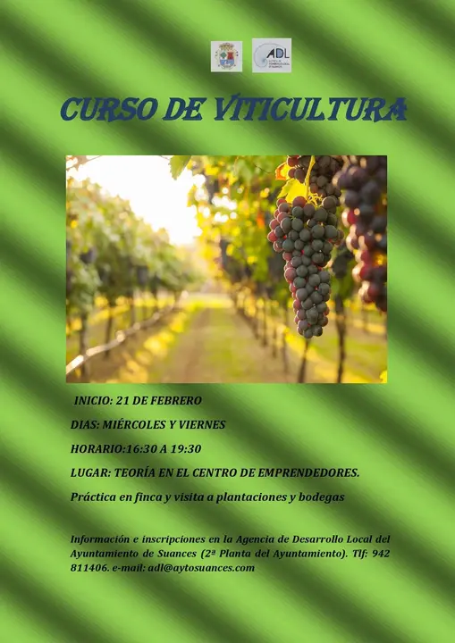 CARTEL CURSO VITICULTURA SUANCES