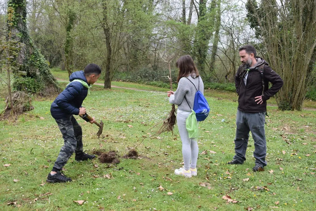 PLANTACION ARBOLES CEIP VIRGEN VALENCIA - PARQUE EL PICON (49)