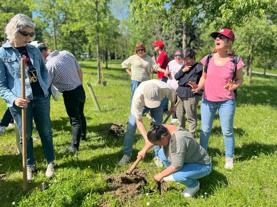 plantacion obra san martin (2)