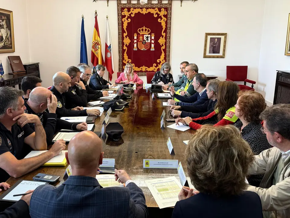 Junta Seguridad UEFA