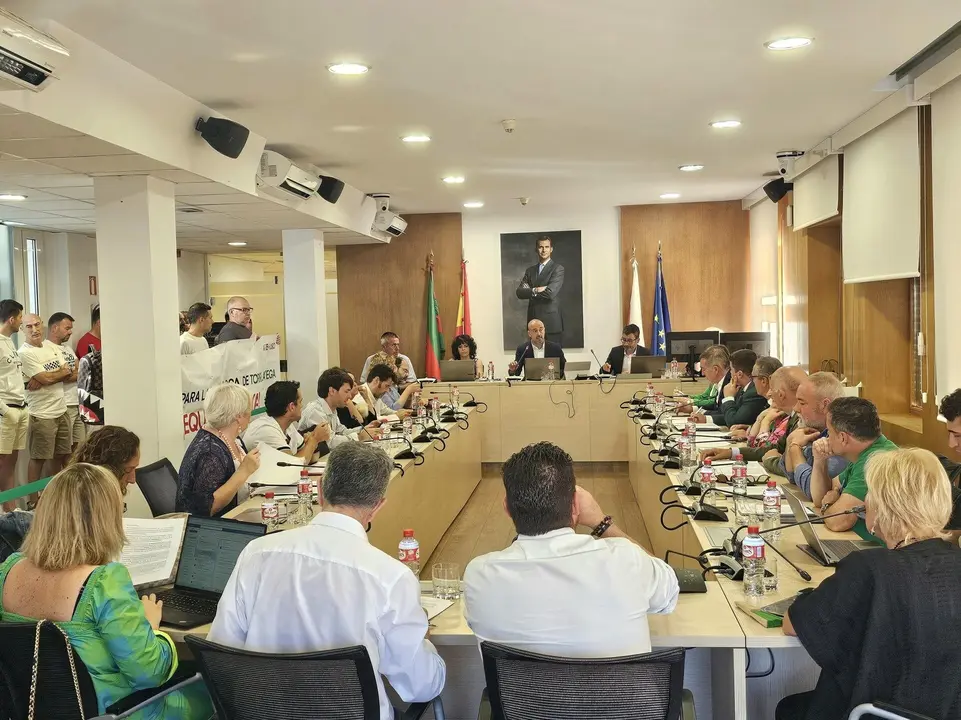 Pleno 18 junio 2025