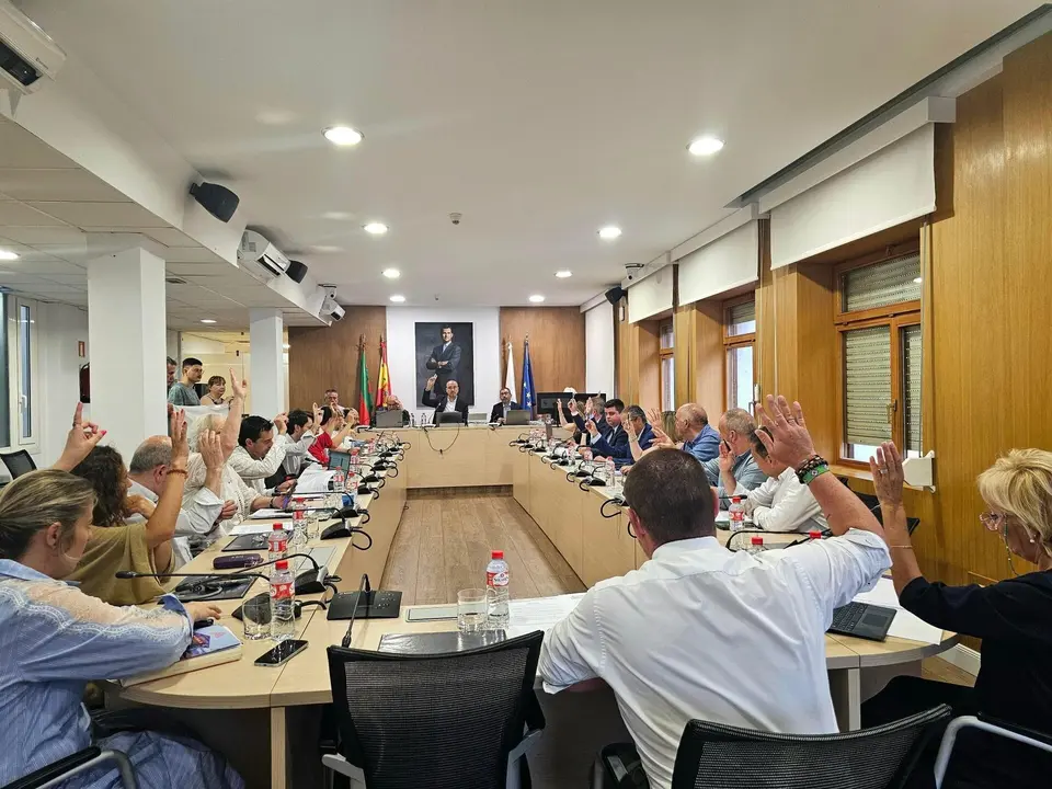 pleno 26 junio 2025 1