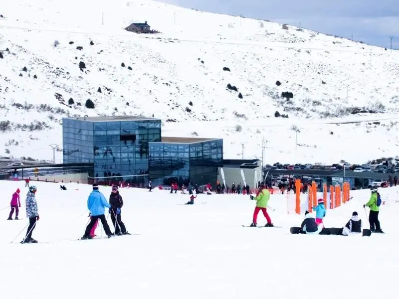 Web alto campoo