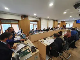 pleno 29 marzo 2022