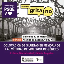 Colocaci&oacute;n Siluetas PSOE Sumate