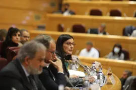 INTERVENCI&Oacute;N SENADO GEMA IGUAL 2