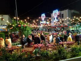 Verbena del Mant&oacute;n