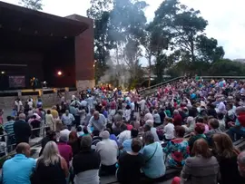 sardinada
