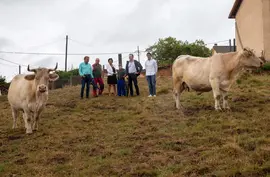 11:45 horas. Finca Santa Olaya. Camino de San Vicente, Torrelavega
El consejero de Desarrollo Rural, Ganader&iacute;a, Pesca, Alimentaci&oacute;n y Medio Ambiente, Guillermo Blanco, visita la ganader&iacute;a de vacuno de raza Charolesa, recientemente incluida en la ampliaci&oacute;n de la IGP de la carne.
 17 agosto 2022 &copy; Miguel De la Parra