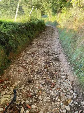 camino2reocin