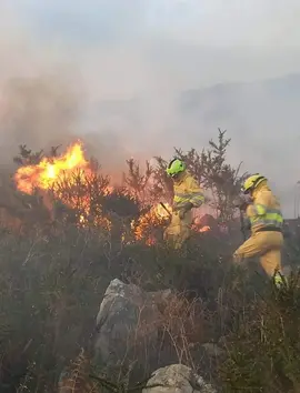 incendio forestal