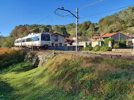 Tren