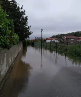zona ribera