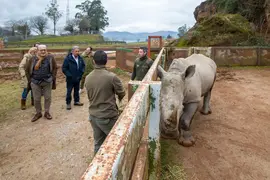 11:00 horas. Parque de la Naturaleza de Cab&aacute;rceno.
El presidente de Cantabria, Miguel &Aacute;ngel Revilla, y el consejero de Industria, Turismo, Innovaci&oacute;n, Transporte y Comercio, Javier L&oacute;pez Marcano, Cab&aacute;rceno. Rinoceronte. 5 febrero 2023 &copy; Miguel De la Parra