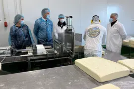 10:00 horas. Ongayo, Suances. El consejero de Desarrollo Rural, Ganader&iacute;a, Pesca, Alimentaci&oacute;n y Medio Ambiente, Guillermo Blanco, visita las instalaciones de la queser&iacute;a Fecar L&aacute;ctea.
