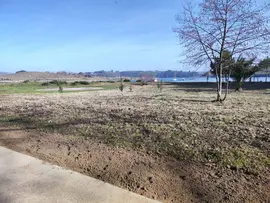 Zona recuperada en La Riberuca, con la plantaci&oacute;n de encina aut&oacute;ctona