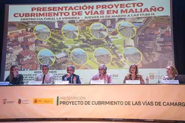 &copy;Alberto G Ibañez CUBRIMIENTO VIAS 1