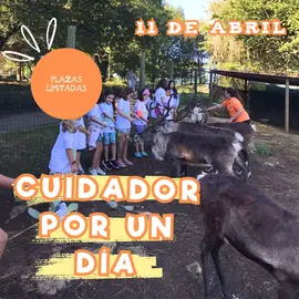 CUIDADOR (Post de Instagram (Cuadrado)) (1)