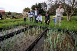 11:00 horas. B&ordm; La Haza, Revilla de Camargo
El consejero de Desarrollo Rural, Ganader&iacute;a, Pesca, Alimentaci&oacute;n y Medio Ambiente, Guillermo Blanco, visita el proyecto de investigaci&oacute;n ambiental Plan RIALAB.
