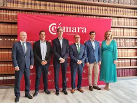 Comit&eacute; Ejecutivo