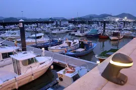 18:30	Santo&ntilde;a	El consejero de Obras P&uacute;blicas y Vivienda, Jos&eacute; Mar&iacute;a Maz&oacute;n,  junto a la alcaldesa de Santo&ntilde;a, Puerto Gallego, inauguran la instalaci&oacute;n de agua, energ&iacute;a el&eacute;ctrica y luz en los pantalanes instalados en el puerto.
Nacho Romero &copy;
18 feb 05