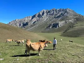 El consejero de Desarrollo Rural, Ganader&iacute;a, Pesca y Alimentaci&oacute;n, Pablo Palencia, realiza una visita institucional a Li&eacute;bana para conocer las necesidades de los ganaderos y los viticultores de la comarca.
