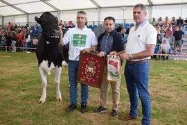 146 CONCURSO GANADO VACUNO FRISON SAN ANTONIO RENEDO (40) - gran campeona