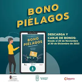 CARTEL CAMPA&Ntilde;A 'BONOS DE CONSUMO' AYTO PI&Eacute;LAGOS