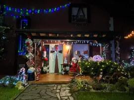 Image-1