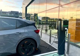 Web coche el&eacute;ctrico
