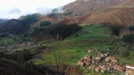 [22464]Mundo rural - Valle de Carmona-
