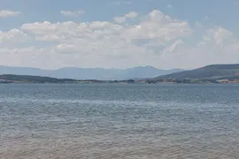 web pantano