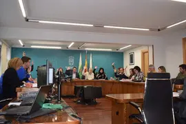 PLENO AYTO PI&Eacute;LAGOS - FEBRERO 2024