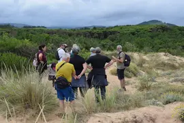 ARCHIVO RUTA  'LAS ORQU&Iacute;DEAS SILVESTRES DE LIENCRES' - CANTABRIA EXPERIENCIAL (1)