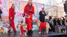 carnaval dog fest