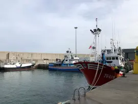 pesca2